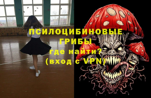 сатива Надым