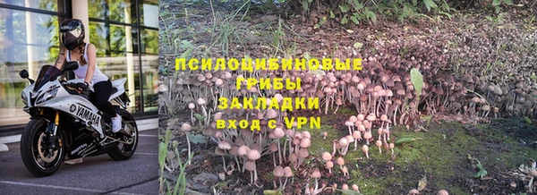 ешки Ладушкин