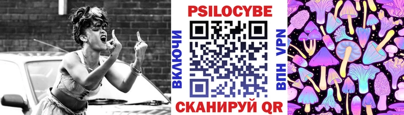 Галлюциногенные грибы Psilocybine cubensis Сусуман